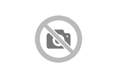 Sales Assistant Sales Assistant